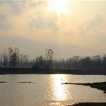 �������